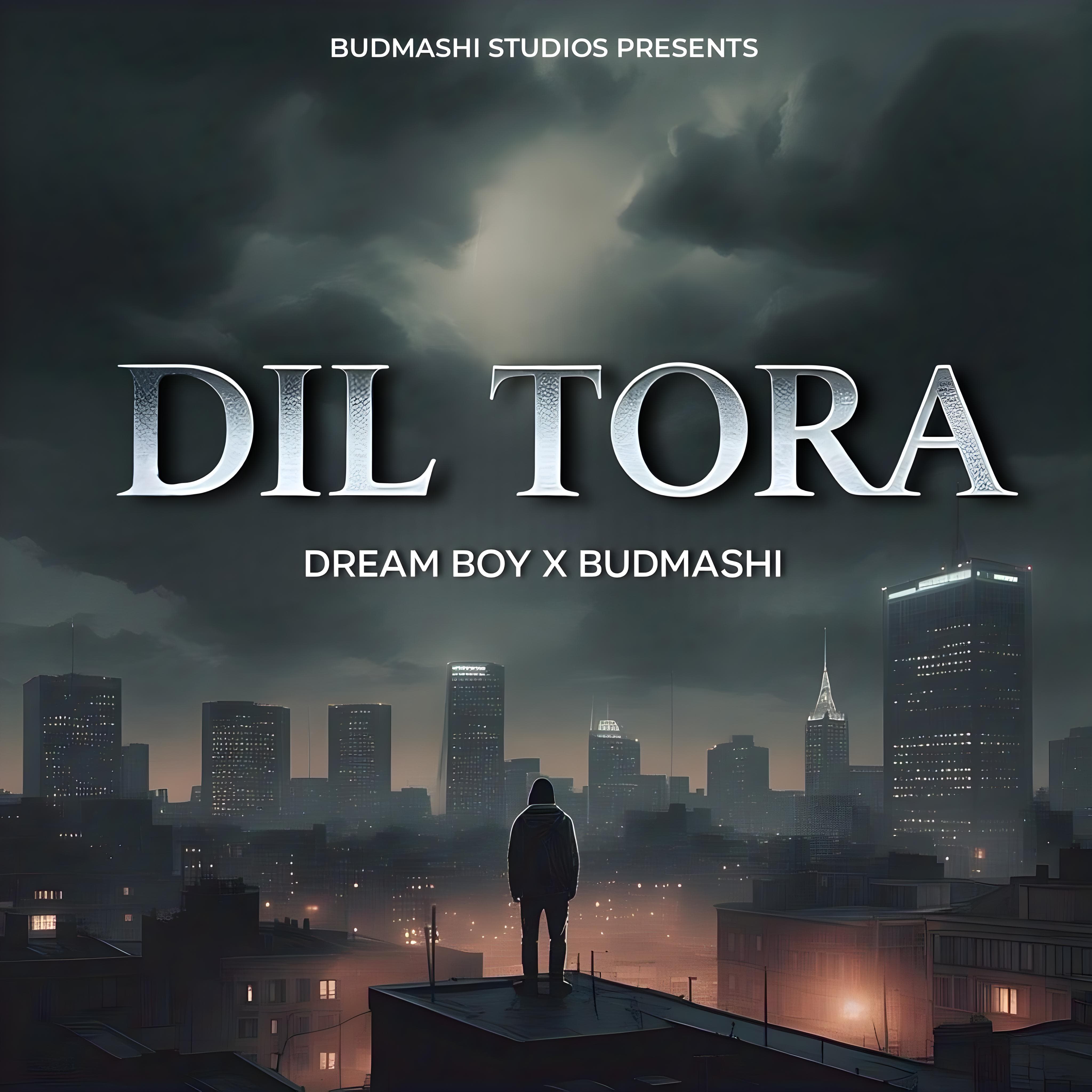 Dil Tora cover