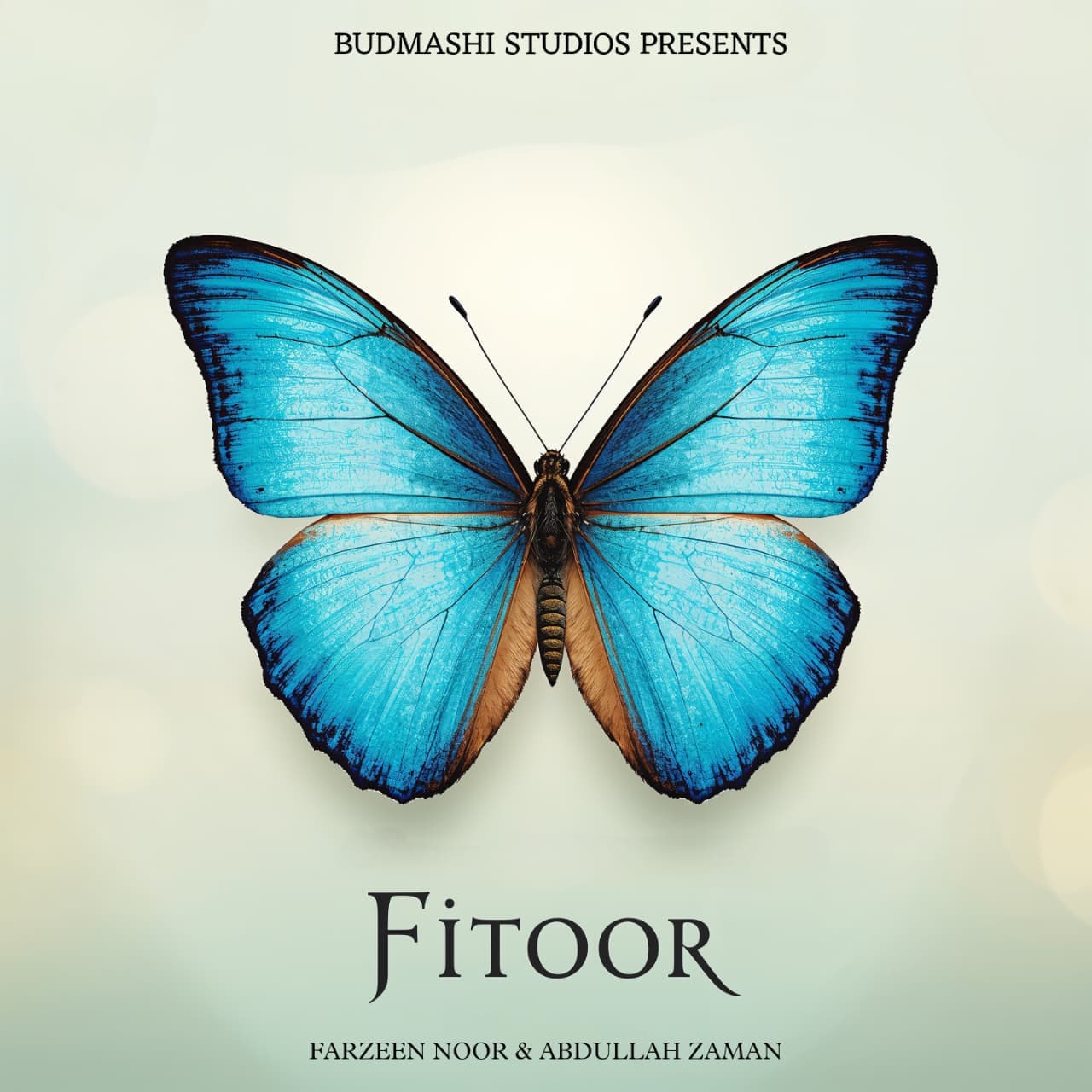 Album cover for Fitoor by Budmashi