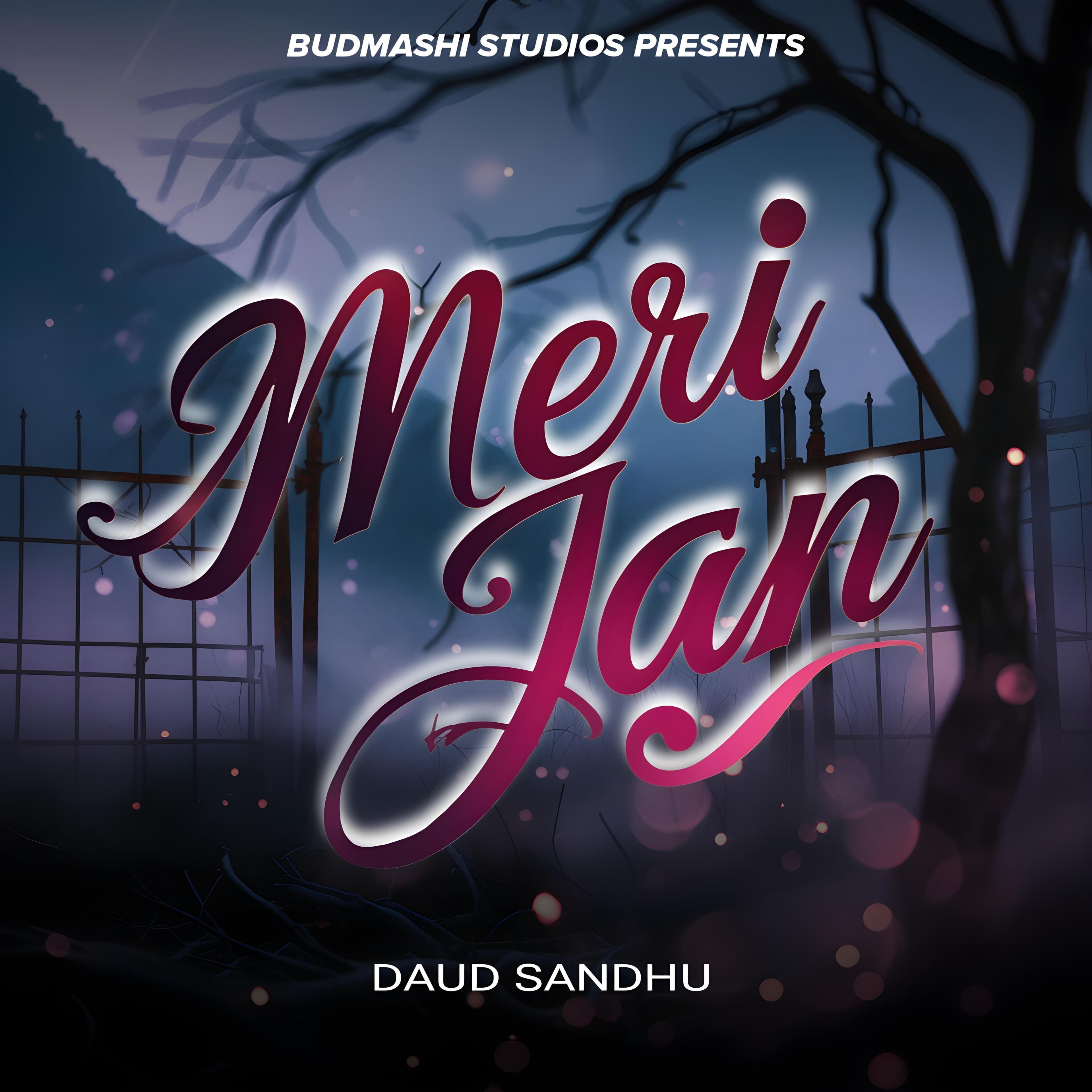 Album cover for Meri Jan by Budmashi