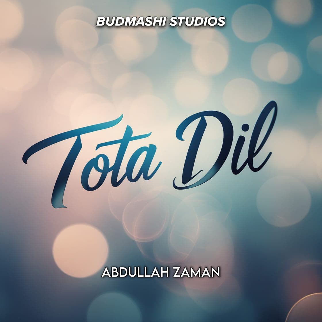 Album cover for Tota Dil by Budmashi